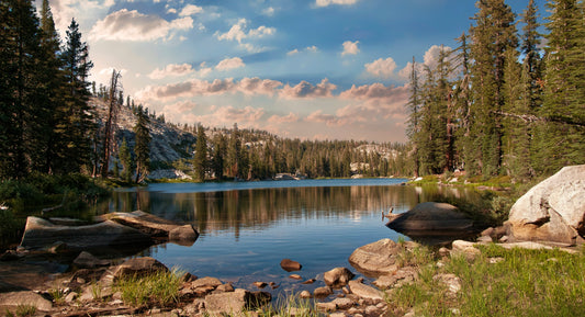 Jack Ass Lake Sierra National Forest