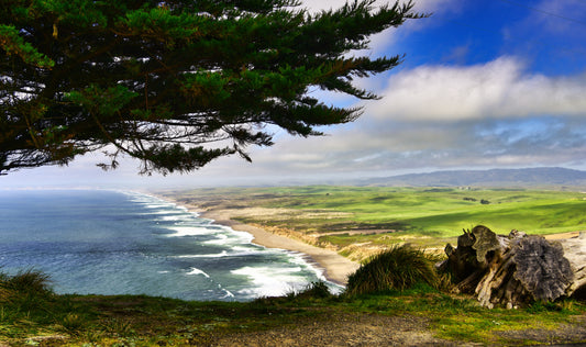 Unspoiled Shores of Point Reyes National Seashore